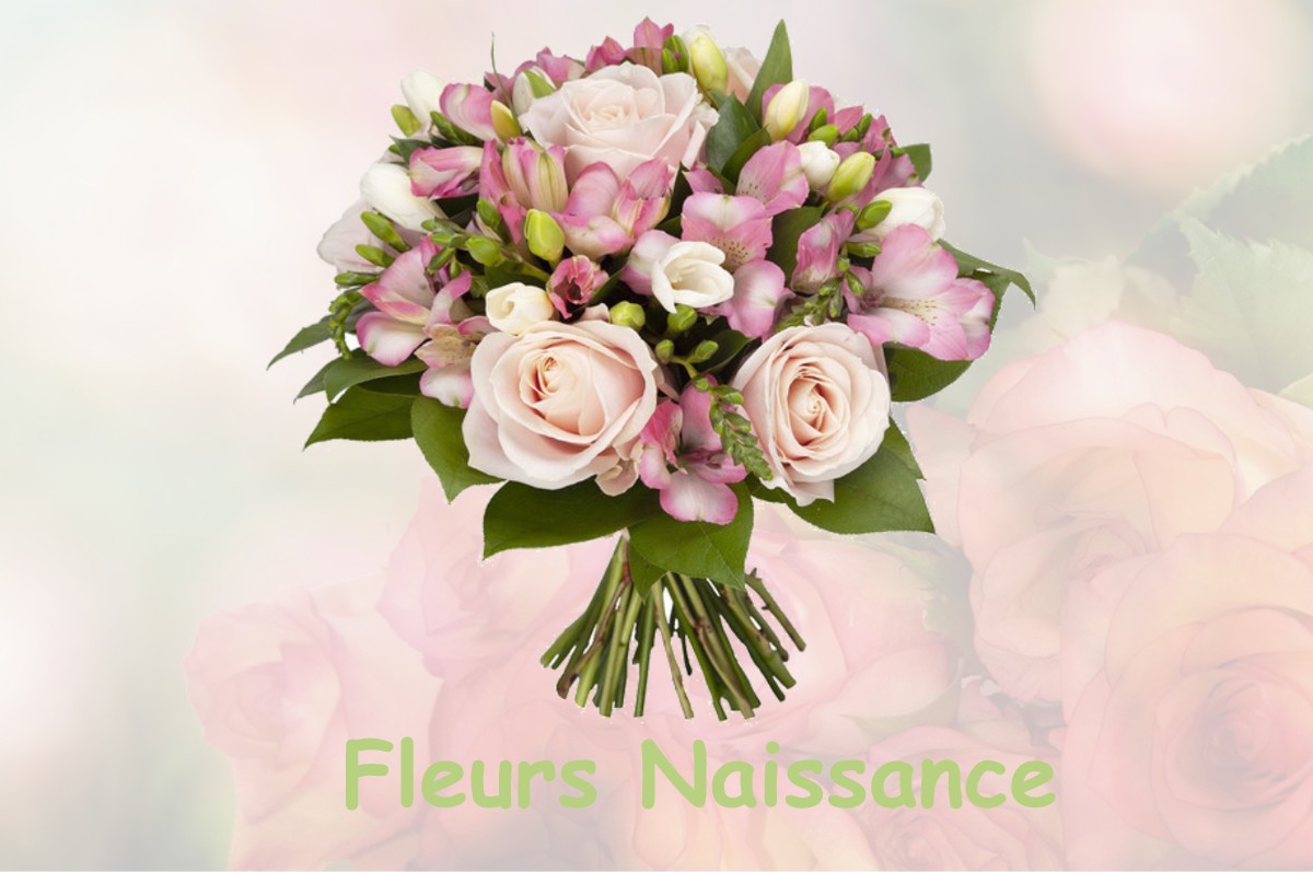 fleurs naissance LE-GAULT-SAINT-DENIS